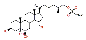 (25S)-5a-Cholestane-3b,5,6b,15a,26-pentol 26-sulfate